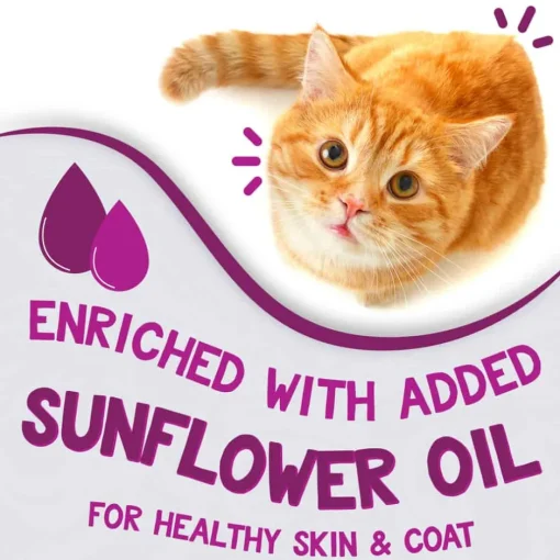 Outlet Earthborn Holistic Harbor Harvest Grain Free Wet Cat Food