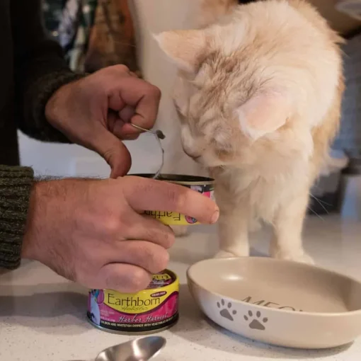 Outlet Earthborn Holistic Harbor Harvest Grain Free Wet Cat Food