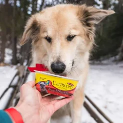 Sale Earthborn Holistic Pepper's Pot Roast Stew Wet Dog Food