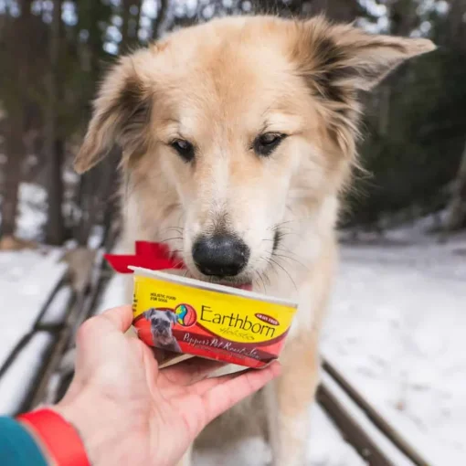 Sale Earthborn Holistic Pepper's Pot Roast Stew Wet Dog Food