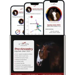 Discount Etalon Equine Genetics Pro Package + Ancestry Bundle