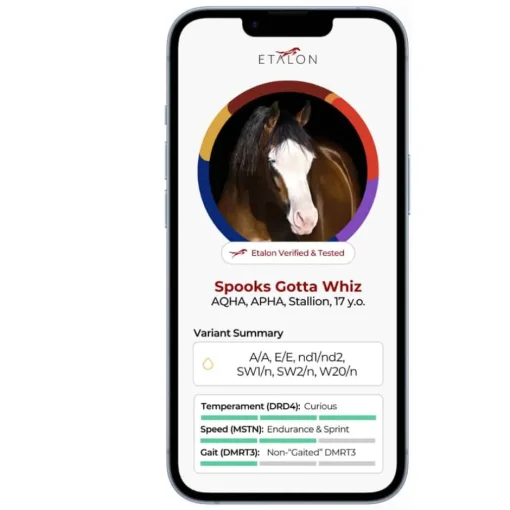 Discount Etalon Equine Genetics Pro Package + Ancestry Bundle