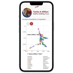Discount Etalon Equine Genetics Pro Package + Ancestry Bundle