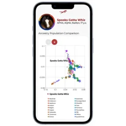 Discount Etalon Equine Genetics Pro Package + Ancestry Bundle