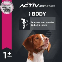 Online Eukanuba Adult Lamb 1st Ingredient Dry Dog Food