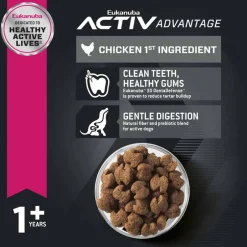 Clearance Eukanuba Adult Large Breed Dry Dog Food