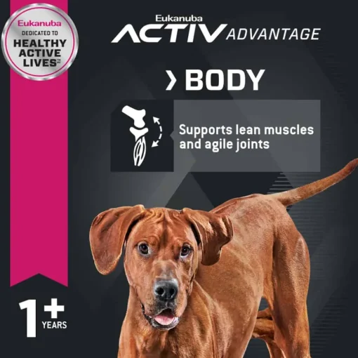 Clearance Eukanuba Adult Large Breed Dry Dog Food