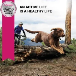 Clearance Eukanuba Adult Large Breed Dry Dog Food