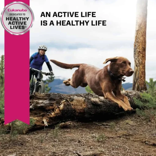 Clearance Eukanuba Adult Large Breed Dry Dog Food