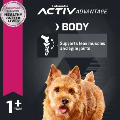 Online Eukanuba Adult Small Breed Dry Dog Food