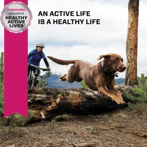 Online Eukanuba Large Breed Senior Dry Dog Food