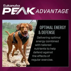 New Eukanuba Premium Performance 26/16 EXERCISE Adult Dry Dog Food