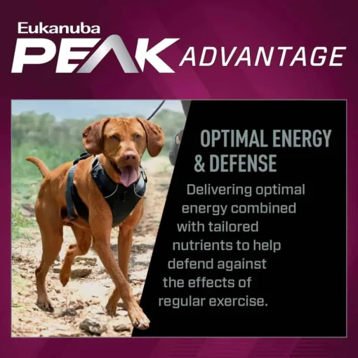 New Eukanuba Premium Performance 26/16 EXERCISE Adult Dry Dog Food