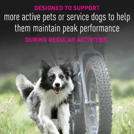 New Eukanuba Premium Performance 26/16 EXERCISE Adult Dry Dog Food