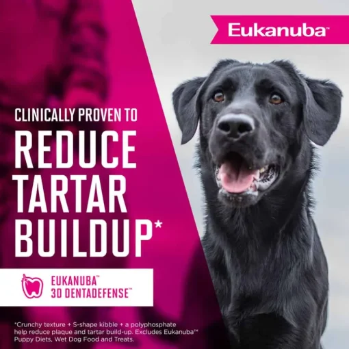 Discount Eukanuba Premium Performance 30/20 Sport Adult Dry Dog Food