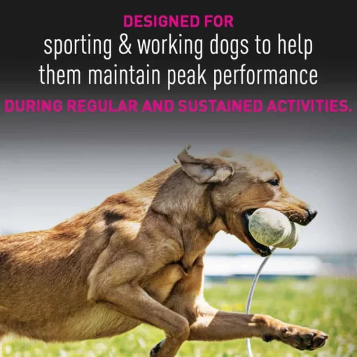 Discount Eukanuba Premium Performance 30/20 Sport Adult Dry Dog Food