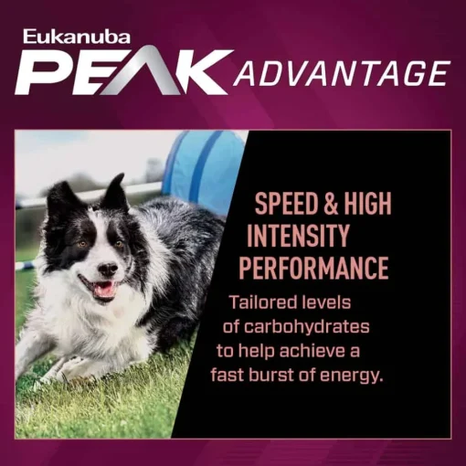 Sale Eukanuba Premium Performance 21/13 Sprint Dry Dog Food
