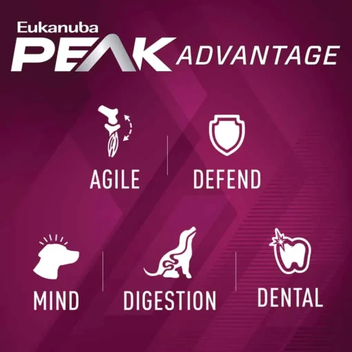 Sale Eukanuba Premium Performance 21/13 Sprint Dry Dog Food