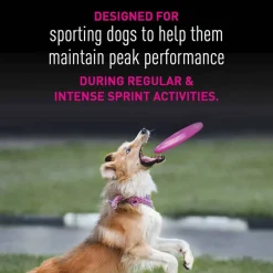 Sale Eukanuba Premium Performance 21/13 Sprint Dry Dog Food