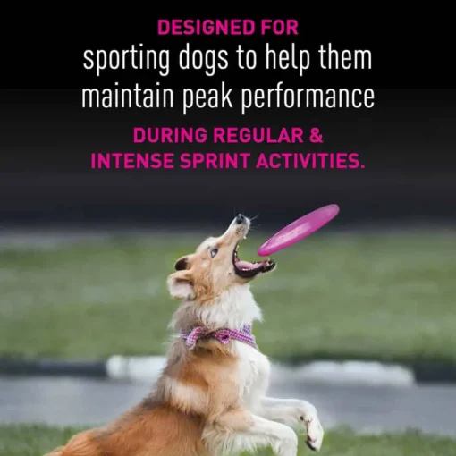 Sale Eukanuba Premium Performance 21/13 Sprint Dry Dog Food