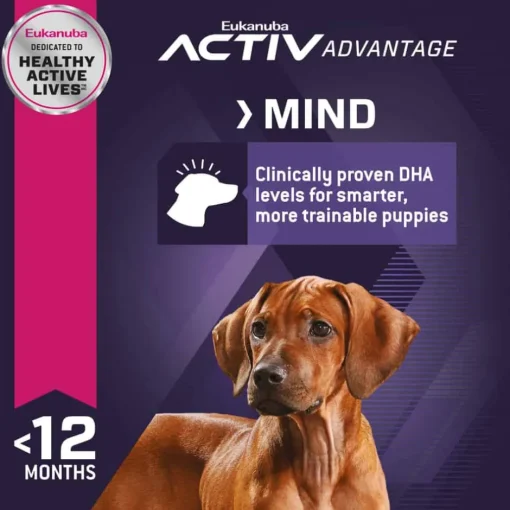 Online Eukanuba Puppy Large Breed Dry Dog Food