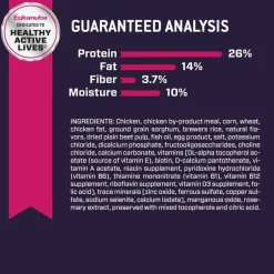 Online Eukanuba Puppy Large Breed Dry Dog Food