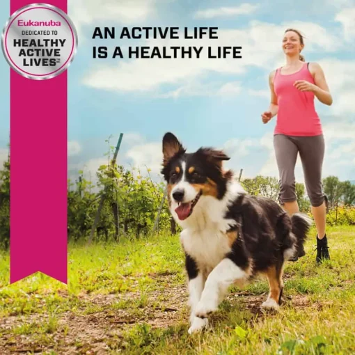 Discount Eukanuba Senior Medium Breed Dry Dog Food