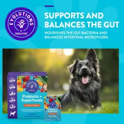 Best Evolutions by NaturVet Probiotic + Superfoods Dog Supplement