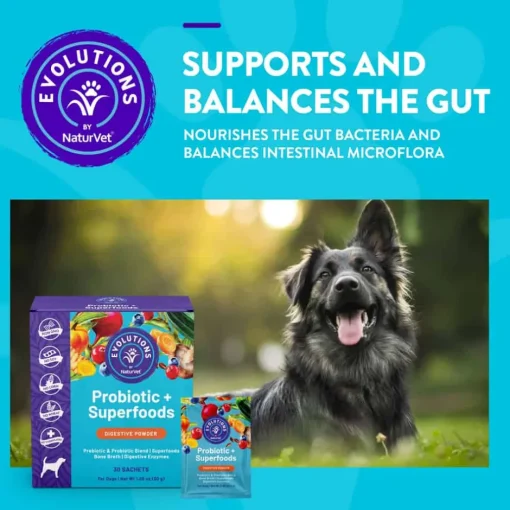 Best Evolutions by NaturVet Probiotic + Superfoods Dog Supplement