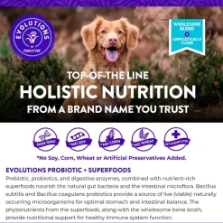 Best Evolutions by NaturVet Probiotic + Superfoods Dog Supplement
