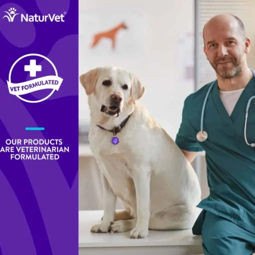 Best Evolutions by NaturVet Probiotic + Superfoods Dog Supplement