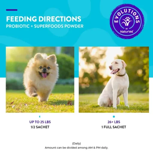 Best Evolutions by NaturVet Probiotic + Superfoods Dog Supplement
