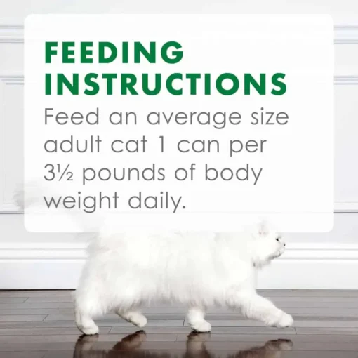 Online Fancy Feast Chunky Turkey Feast Wet Cat Food
