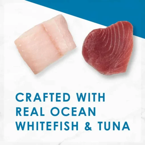 Online Fancy Feast Classic Pate Ocean Whitefish & Tuna Feast Wet Cat Food