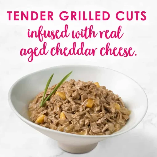 Hot Fancy Feast Delights Grilled Chicken & Cheddar Cheese Feast Wet Cat Food