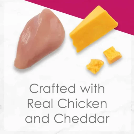 Hot Fancy Feast Delights Grilled Chicken & Cheddar Cheese Feast Wet Cat Food
