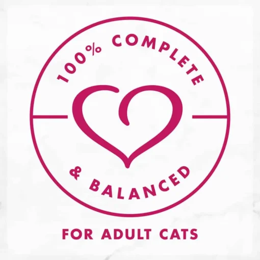 Hot Fancy Feast Delights Grilled Chicken & Cheddar Cheese Feast Wet Cat Food