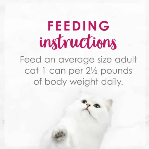 Hot Fancy Feast Delights Grilled Chicken & Cheddar Cheese Feast Wet Cat Food