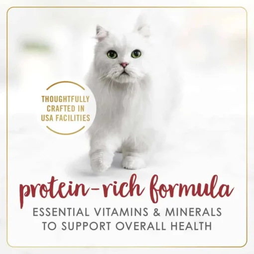 Online Fancy Feast Gravy Lovers Beef Feast Wet Cat Food