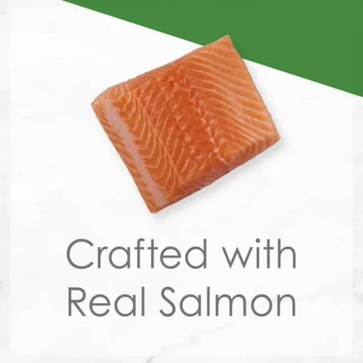 Online Fancy Feast Gravy Lovers Salmon Feast Wet Cat Food