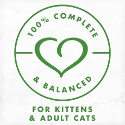 Online Fancy Feast Gravy Lovers Salmon Feast Wet Cat Food