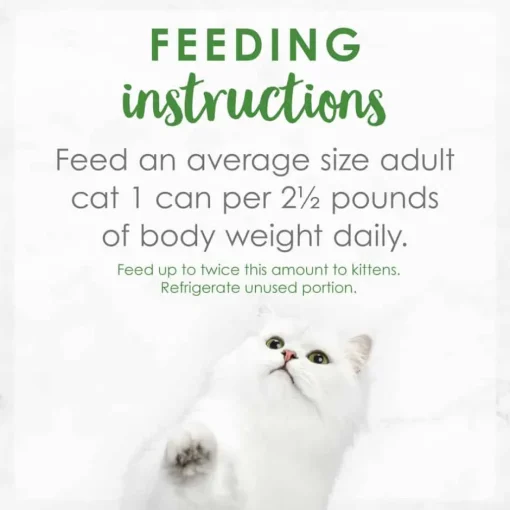 Online Fancy Feast Gravy Lovers Salmon Feast Wet Cat Food