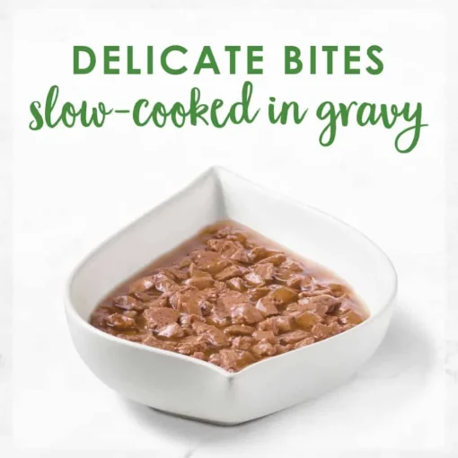 Online Fancy Feast Gravy Lovers Salmon Feast Wet Cat Food