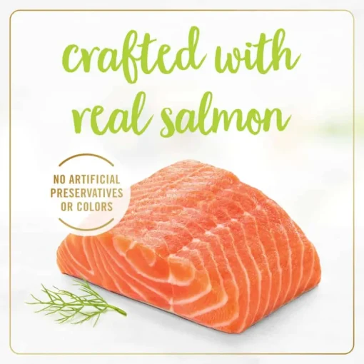 Discount Fancy Feast Grilled Salmon Feast Wet Cat Food
