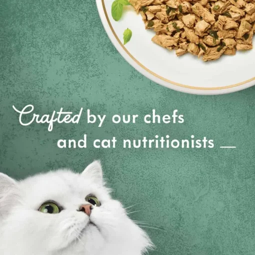 Discount Fancy Feast Medleys Shredded White Meat Chicken Fare Wet Cat Food