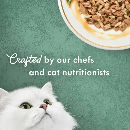 Outlet Fancy Feast Medleys Tuna Tuscany Wet Cat Food