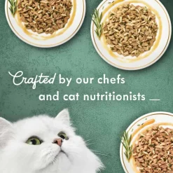 Outlet Fancy Feast Medleys Tuscany Wet Cat Food Variety Pack