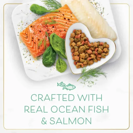 New Fancy Feast Ocean Fish & Salmon Dry Cat Food