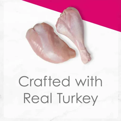 Clearance Fancy Feast Tender Turkey Feast Wet Kitten Food