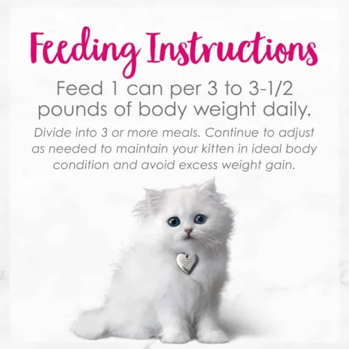 Clearance Fancy Feast Tender Turkey Feast Wet Kitten Food